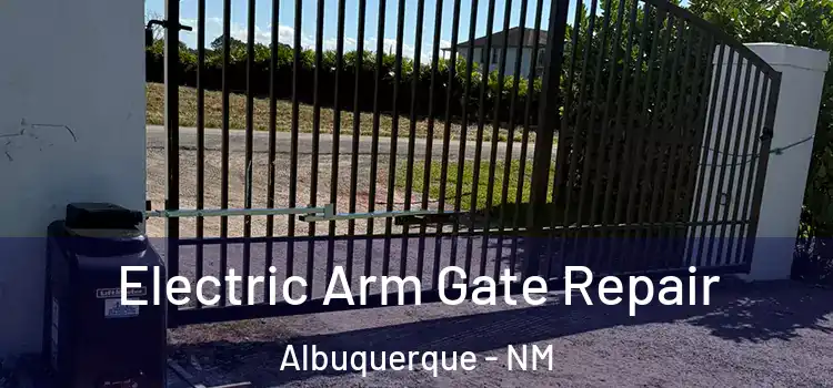 Electric Arm Gate Repair Albuquerque - NM