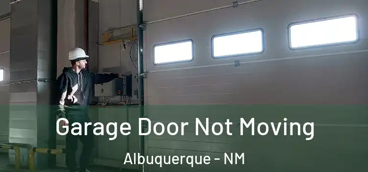  Garage Door Not Moving Albuquerque - NM