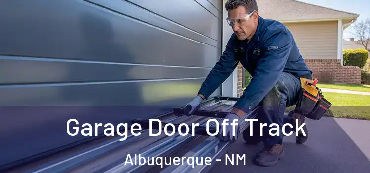  Garage Door Off Track Albuquerque - NM