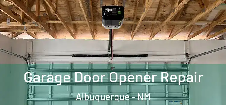  Garage Door Opener Repair Albuquerque - NM