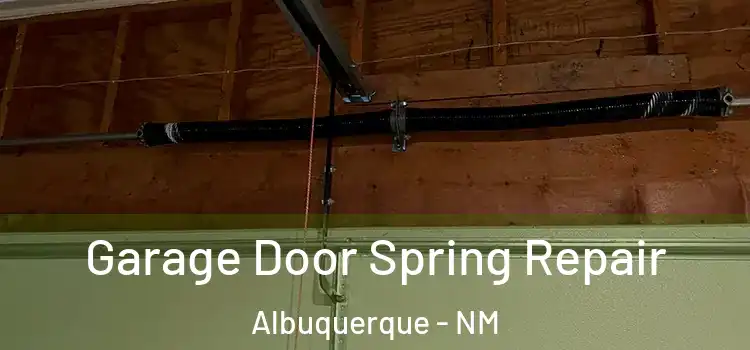  Garage Door Spring Repair Albuquerque - NM