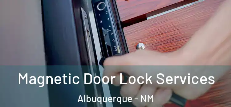 Magnetic Door Lock Services Albuquerque - NM
