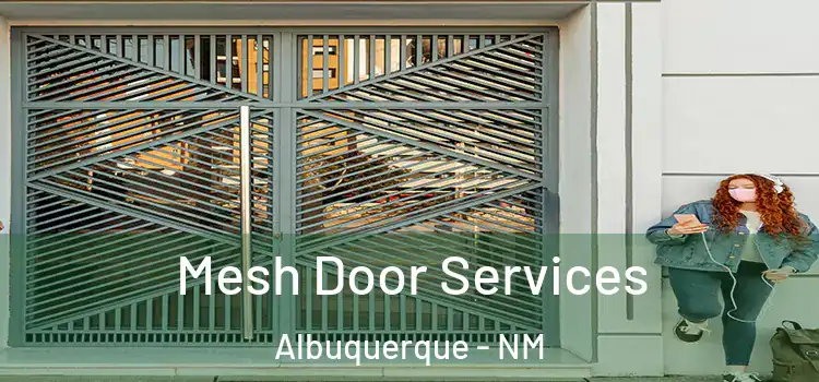 Mesh Door Services Albuquerque - NM