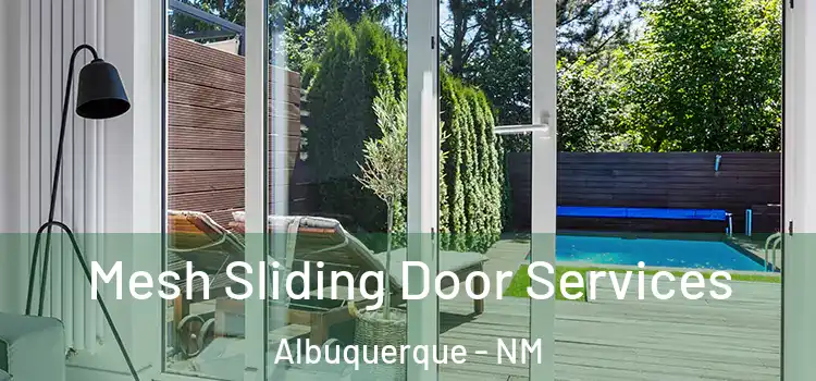 Mesh Sliding Door Services Albuquerque - NM