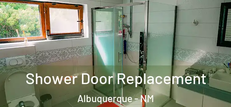 Shower Door Replacement Albuquerque - NM